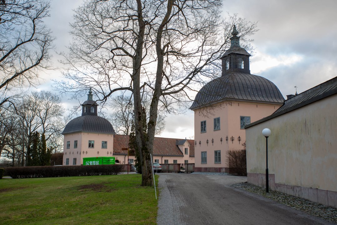 Hässelby slott - januari 2020 twin towers