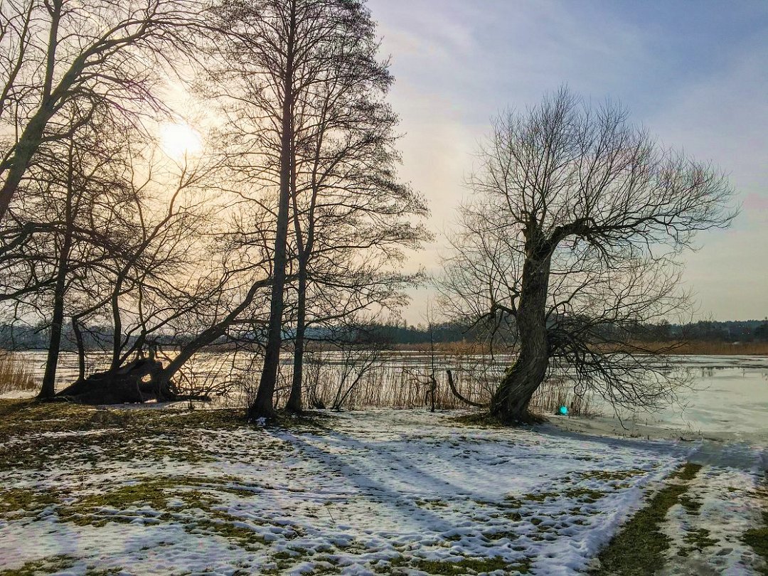 Svartsjö slottsruin, Ekerö - februari 2021 solen skiner