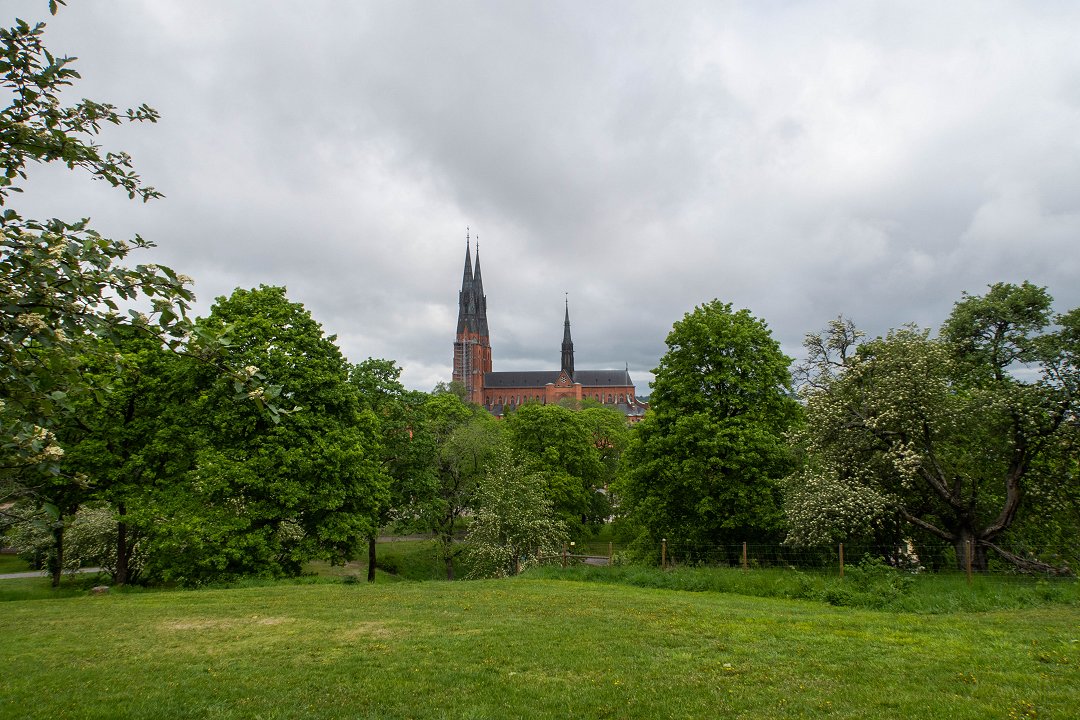 Uppsala slott - maj 2019 domkyrkan
