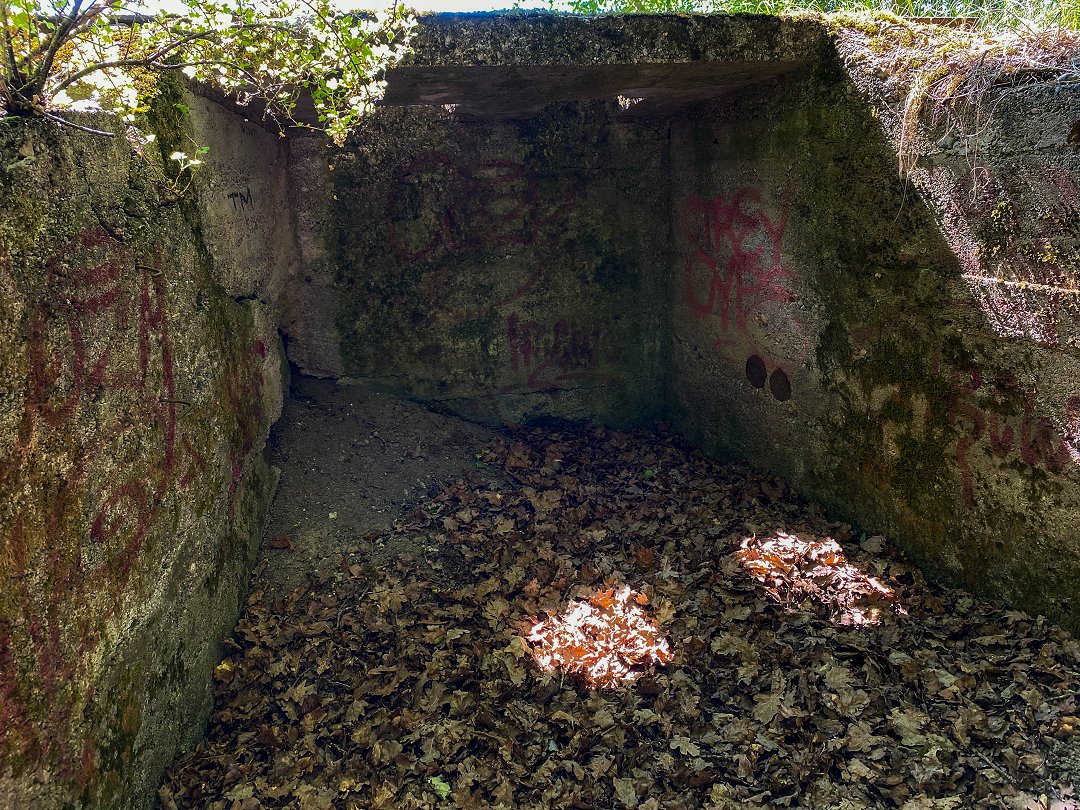 Bunker och skyttevärn, Hansta - juni 2023 03 varn inside