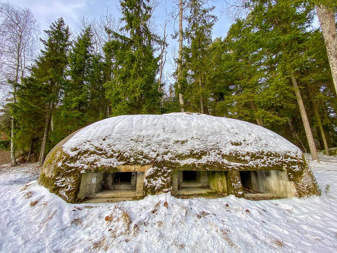 Skavlötens KSP bunker 2, Täby – februari 2023 skalbagge