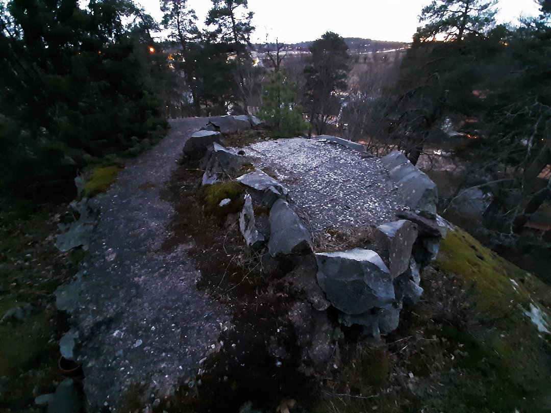 Ståvärn Solvalla skogen, Bromma - februari 2020 rester av ett varn