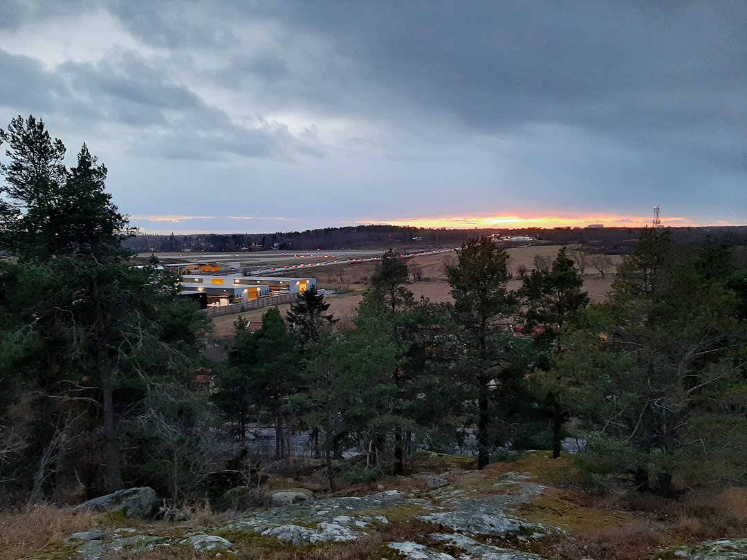 Ståvärn Solvalla skogen, Bromma - februari 2020 utsikt bromma flygplats