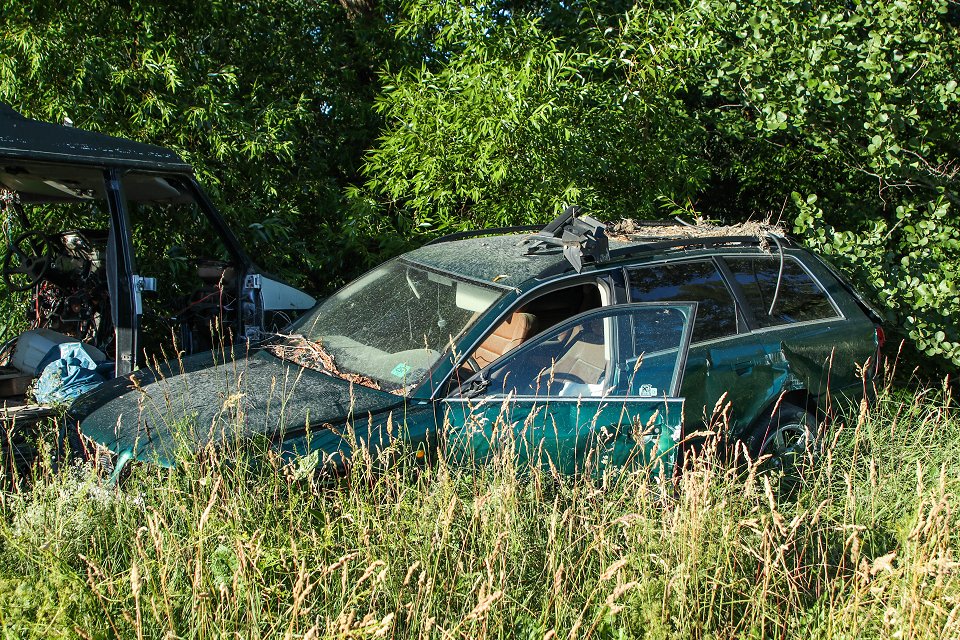 Skrotbilar Heby - juni 2018 gras and car