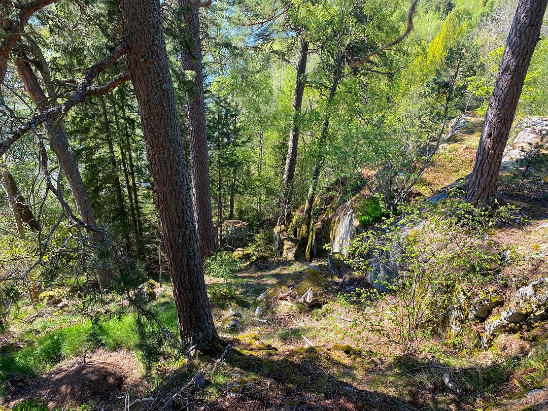 Kettils Grotta, Rosersberg - maj 2023 nerfor skogsbacken